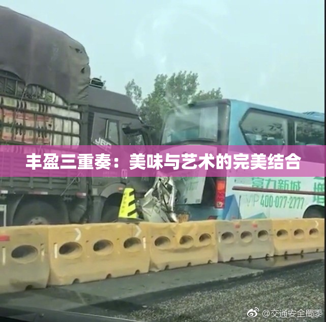 丰盈三重奏：美味与艺术的完美结合