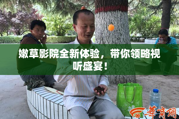 嫩草影院全新体验，带你领略视听盛宴！