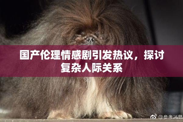 国产伦理情感剧引发热议，探讨复杂人际关系