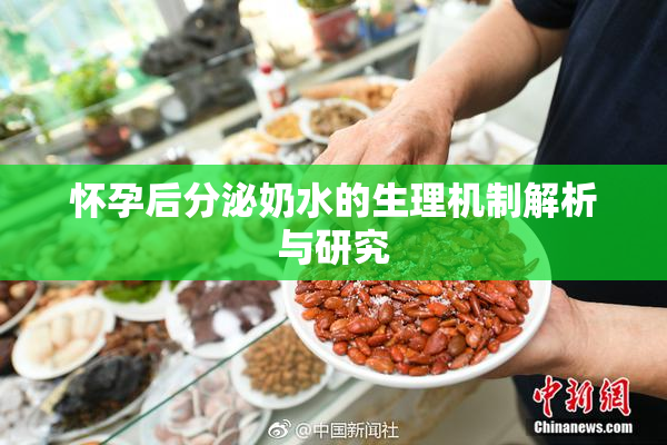 怀孕后分泌奶水的生理机制解析与研究