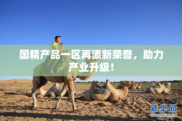 国精产品一区再添新荣誉，助力产业升级！