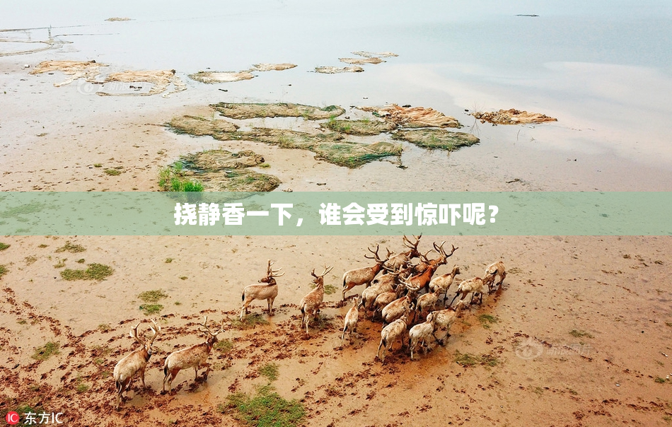 挠静香一下，谁会受到惊吓呢？