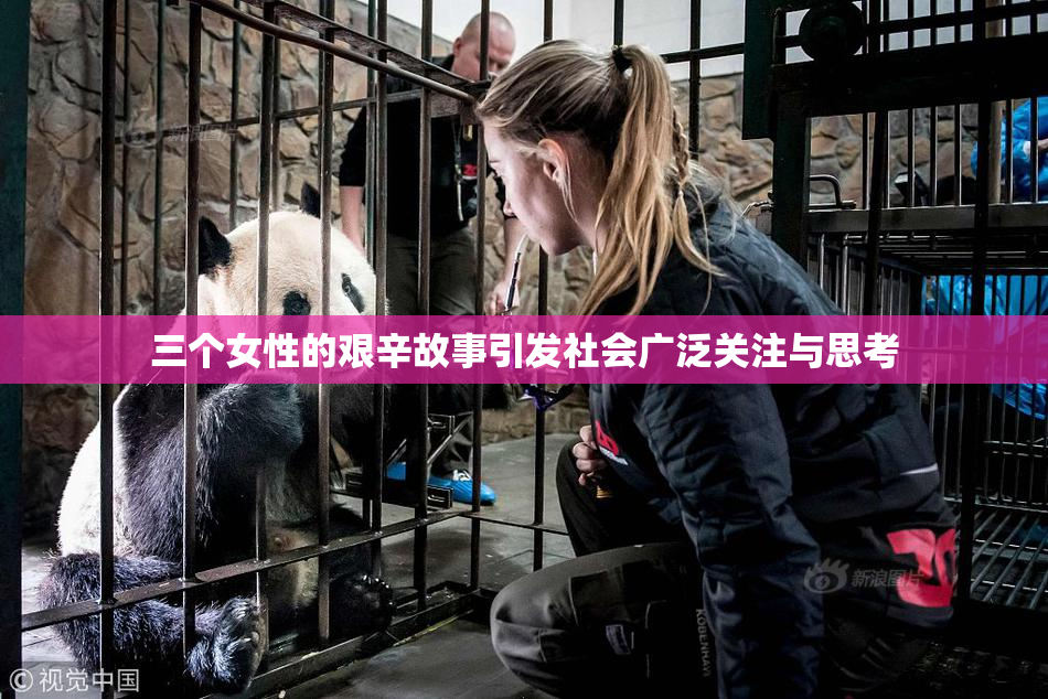 三个女性的艰辛故事引发社会广泛关注与思考