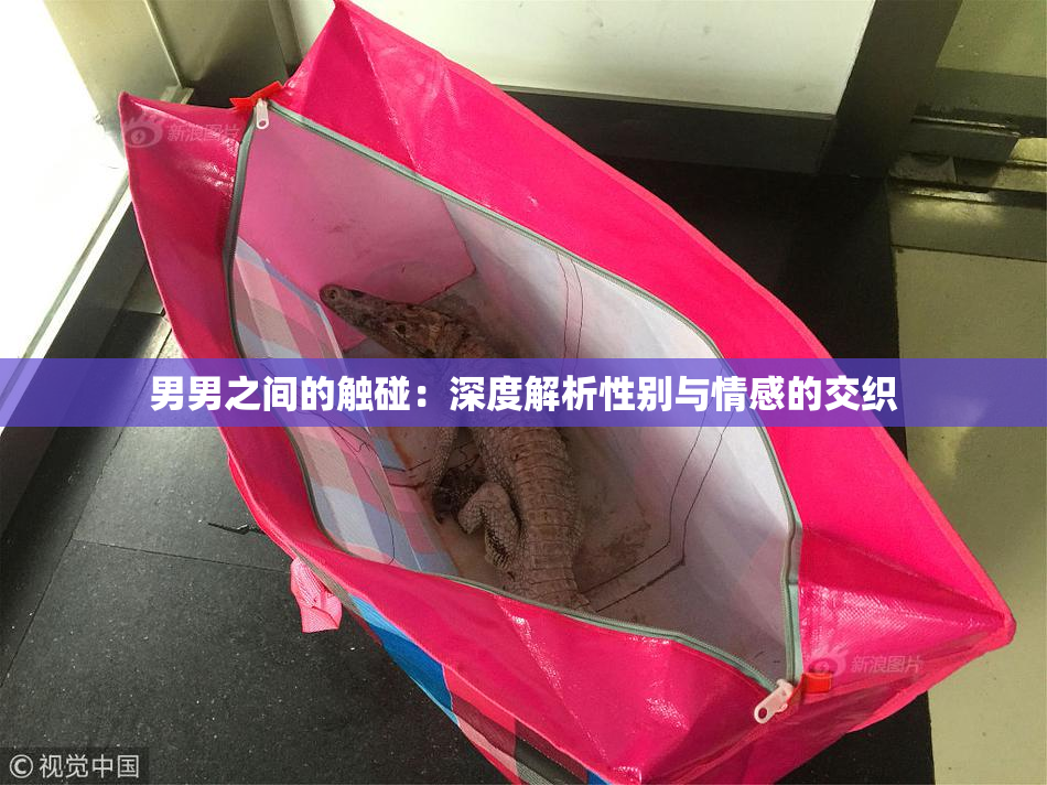 男男之间的触碰：深度解析性别与情感的交织