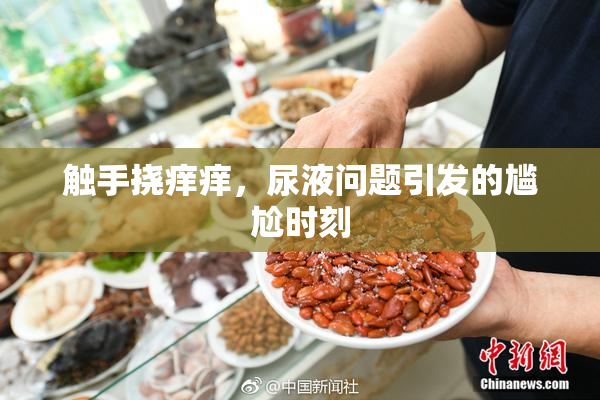 触手挠痒痒，尿液问题引发的尴尬时刻