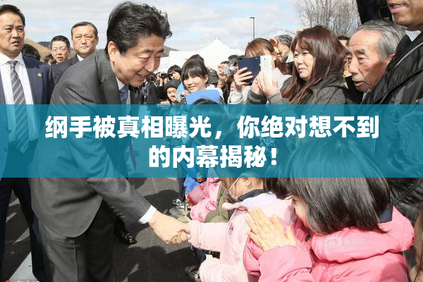 纲手被真相曝光，你绝对想不到的内幕揭秘！