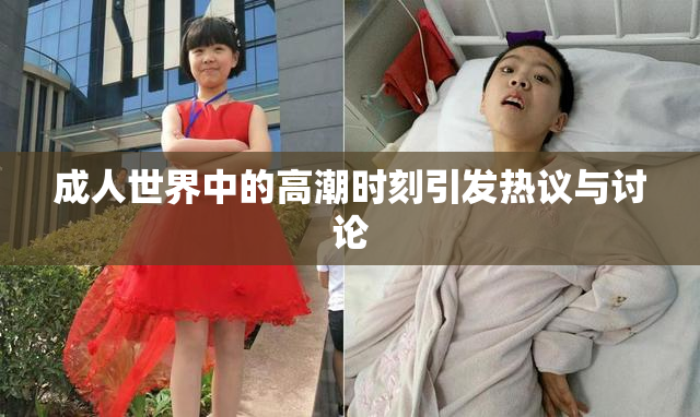 成人世界中的高潮时刻引发热议与讨论