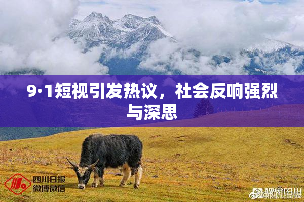 9·1短视引发热议，社会反响强烈与深思