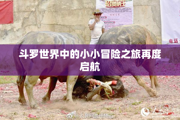 斗罗世界中的小小冒险之旅再度启航