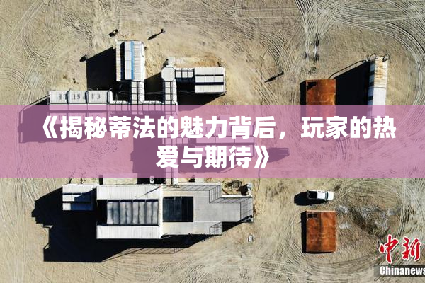《揭秘蒂法的魅力背后，玩家的热爱与期待》