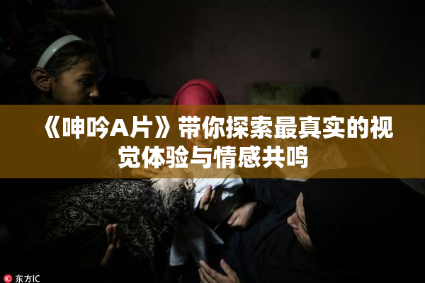 《呻吟A片》带你探索最真实的视觉体验与情感共鸣