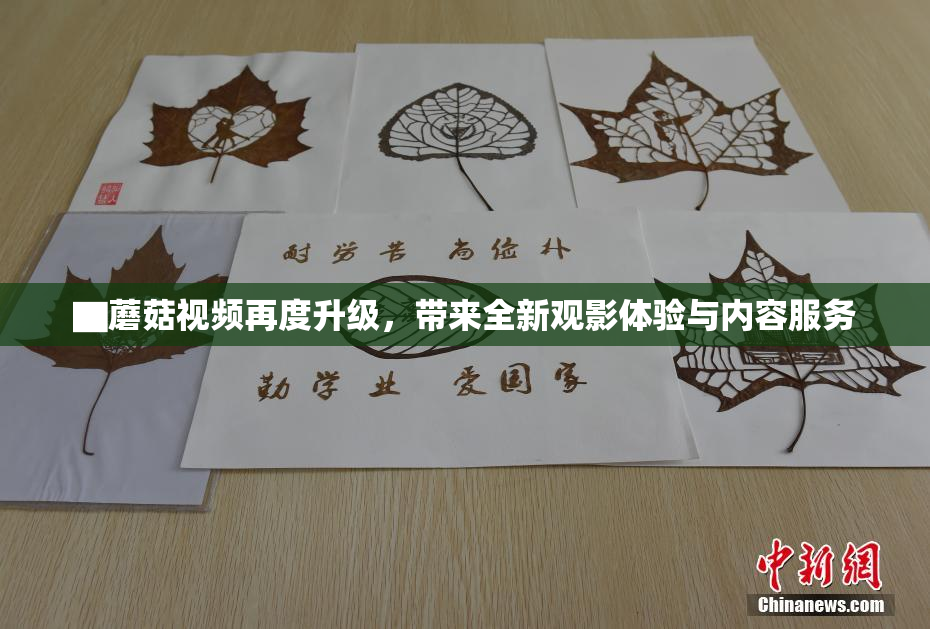 ▇蘑菇视频再度升级，带来全新观影体验与内容服务
