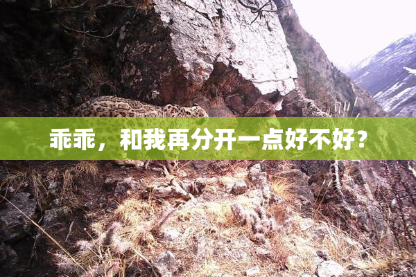 乖乖，和我再分开一点好不好？