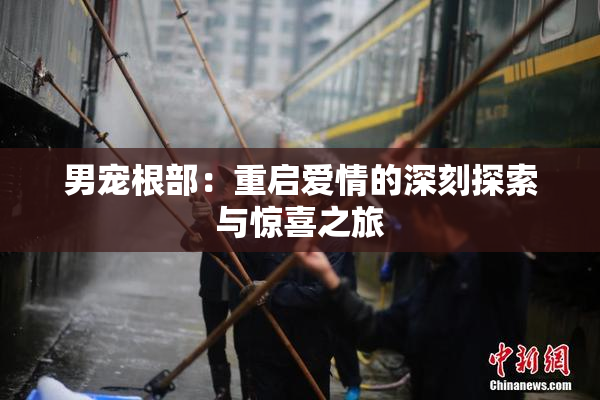 男宠根部：重启爱情的深刻探索与惊喜之旅