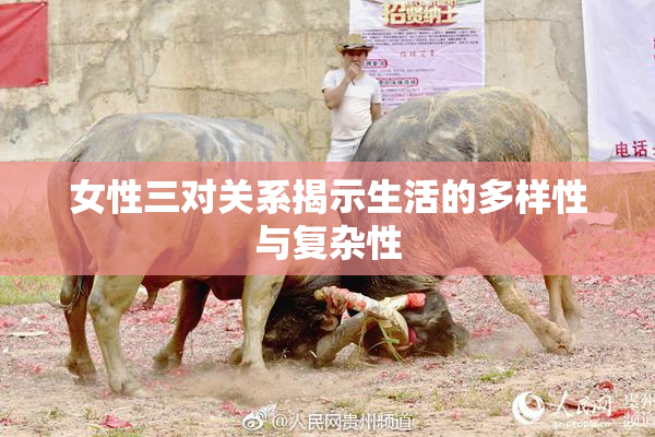 女性三对关系揭示生活的多样性与复杂性