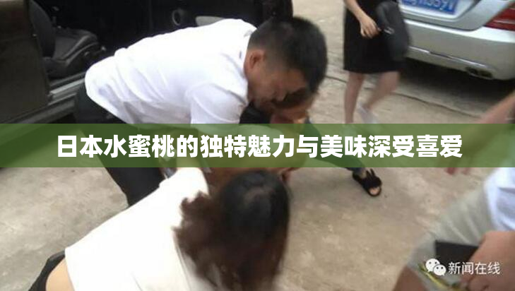 日本水蜜桃的独特魅力与美味深受喜爱