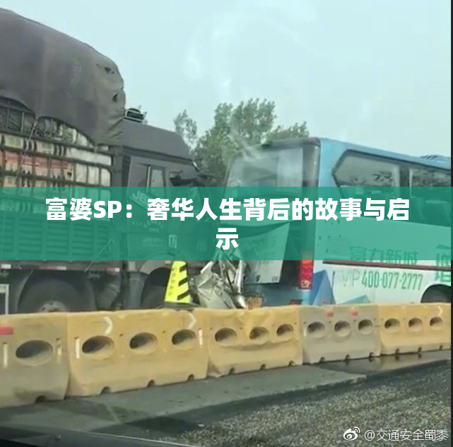 富婆SP：奢华人生背后的故事与启示
