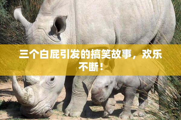 三个白屁引发的搞笑故事，欢乐不断！