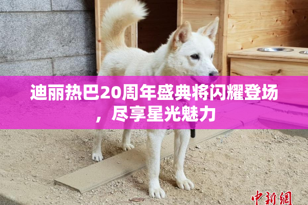 迪丽热巴20周年盛典将闪耀登场，尽享星光魅力