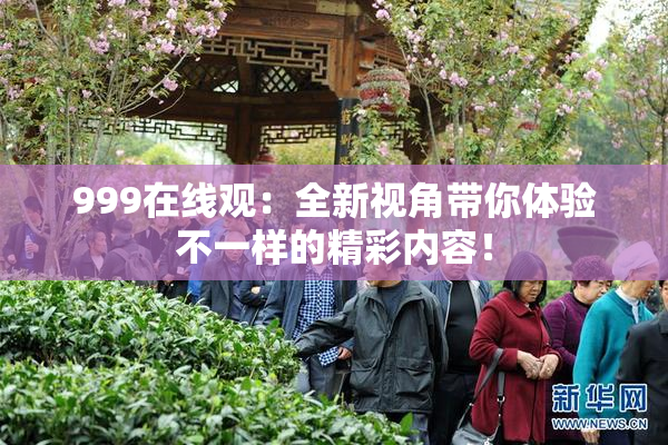 999在线观：全新视角带你体验不一样的精彩内容！