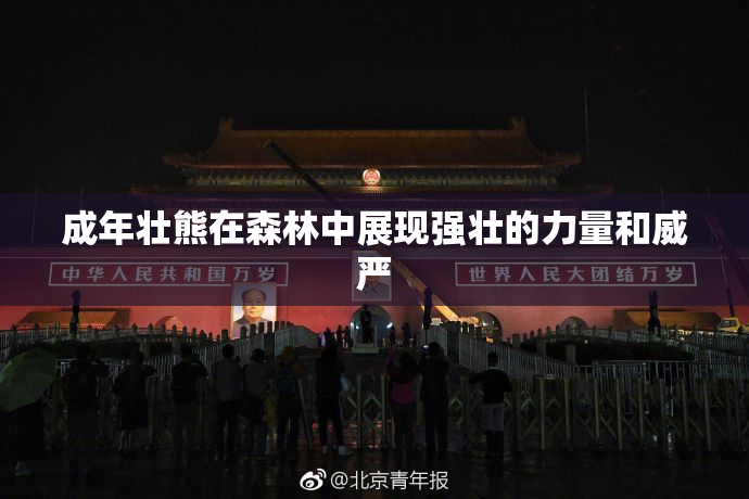 成年壮熊在森林中展现强壮的力量和威严