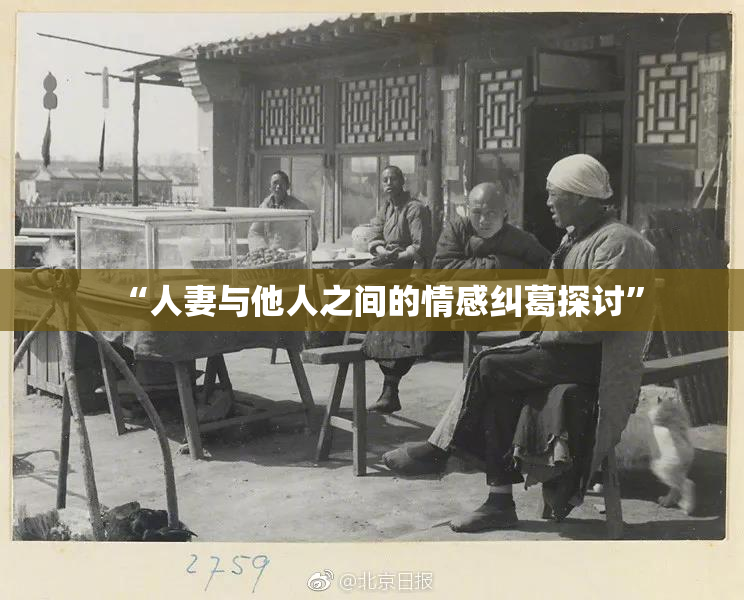 “人妻与他人之间的情感纠葛探讨”