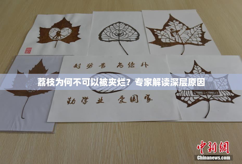 荔枝为何不可以被夹烂？专家解读深层原因