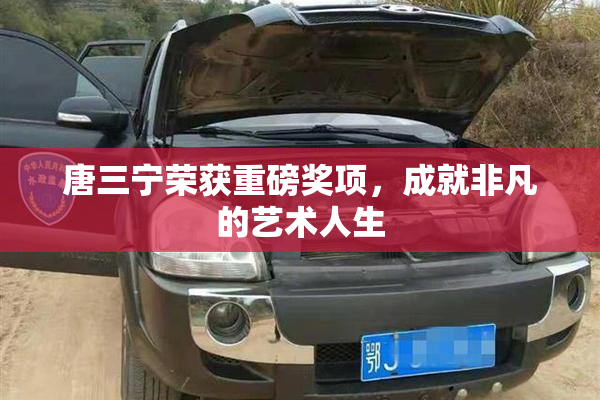 唐三宁荣获重磅奖项，成就非凡的艺术人生
