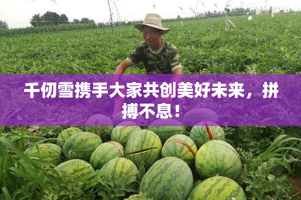 千仞雪携手大家共创美好未来，拼搏不息！