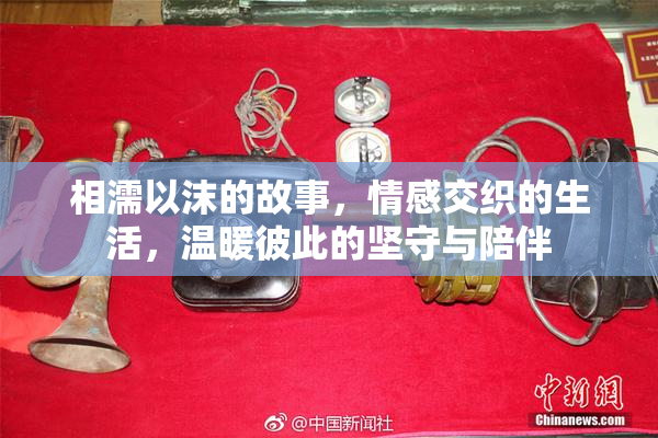 相濡以沫的故事，情感交织的生活，温暖彼此的坚守与陪伴