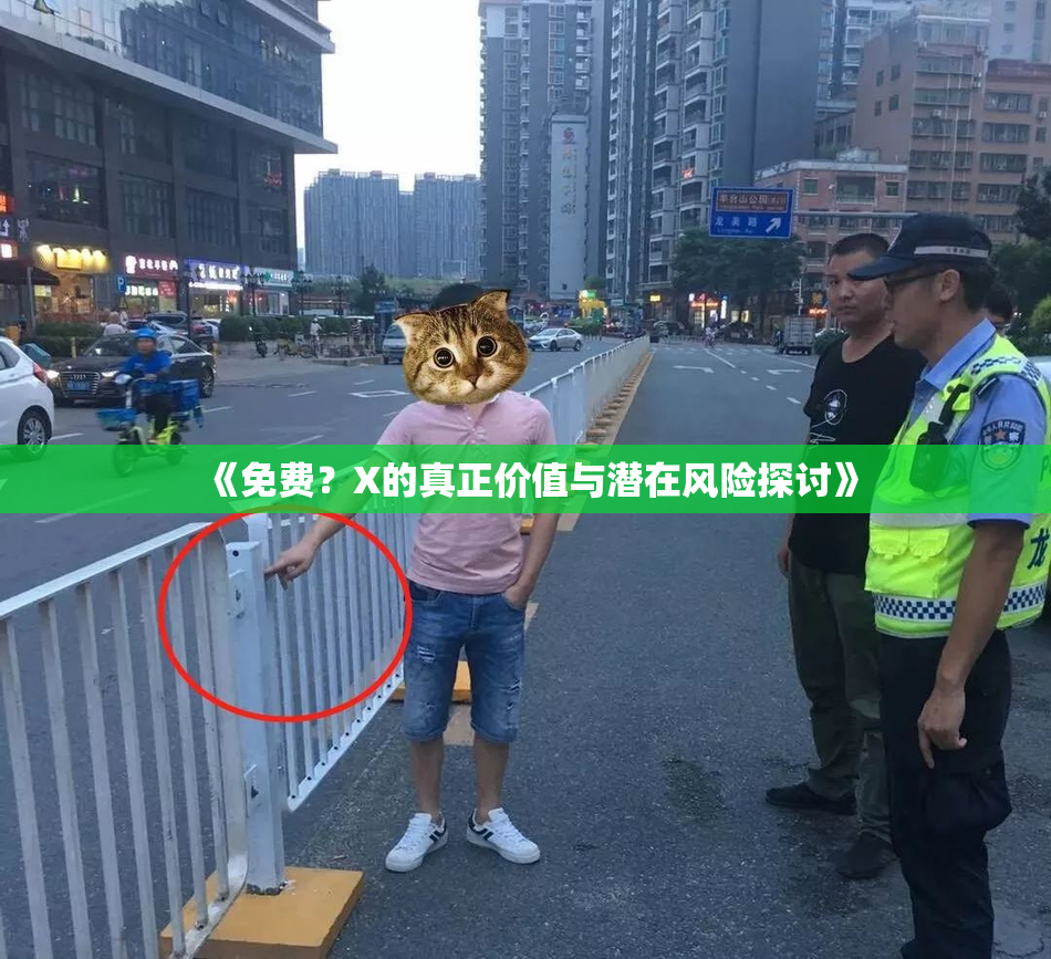 《免费？X的真正价值与潜在风险探讨》
