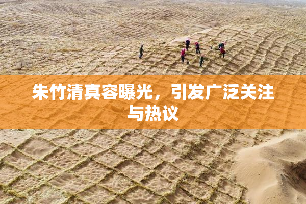 朱竹清真容曝光，引发广泛关注与热议
