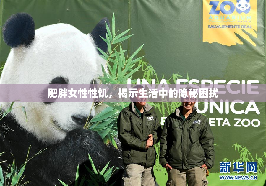 肥胖女性性饥，揭示生活中的隐秘困扰