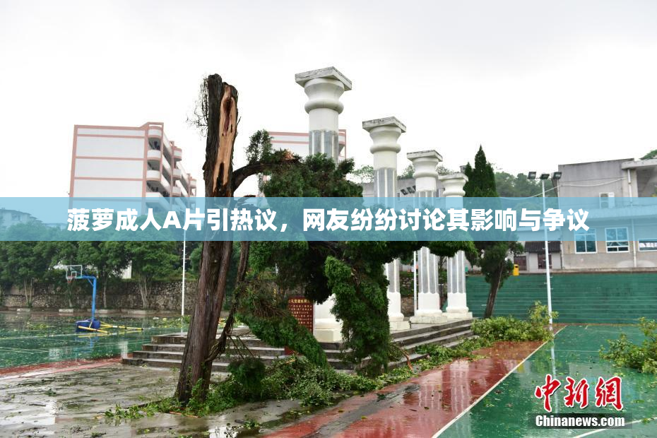 菠萝成人A片引热议，网友纷纷讨论其影响与争议