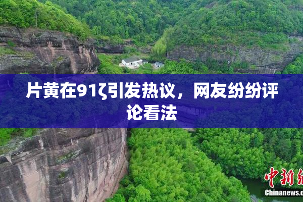 片黄在91ζ引发热议，网友纷纷评论看法