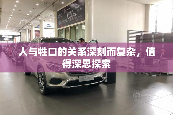 人与牲口的关系深刻而复杂，值得深思探索