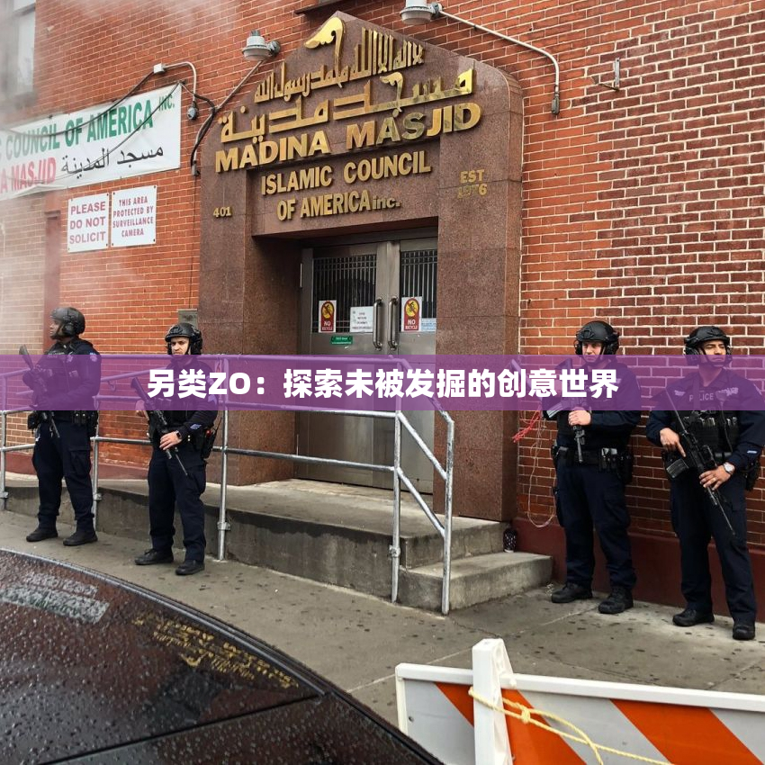 另类ZO：探索未被发掘的创意世界