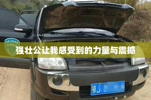 强壮公让我感受到的力量与震撼