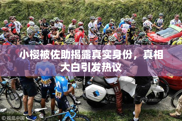 小樱被佐助揭露真实身份，真相大白引发热议