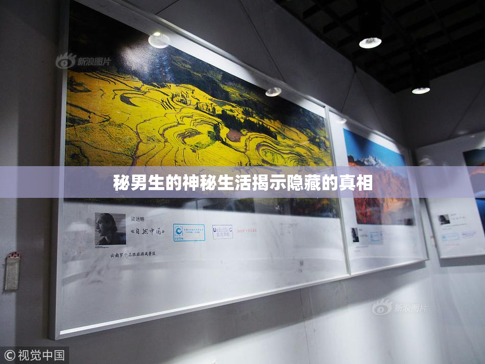 秘男生的神秘生活揭示隐藏的真相