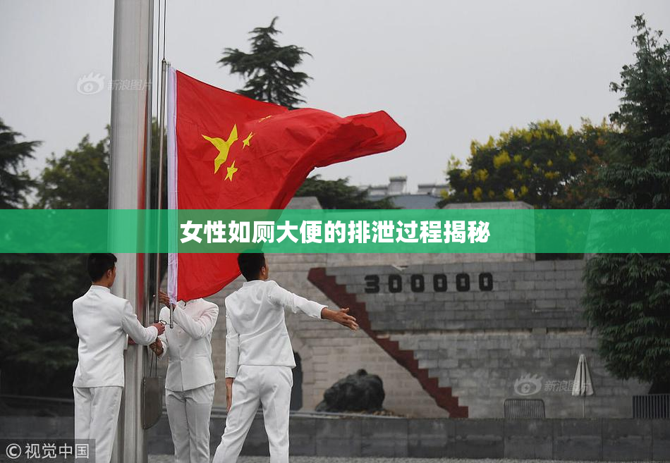 女性如厕大便的排泄过程揭秘