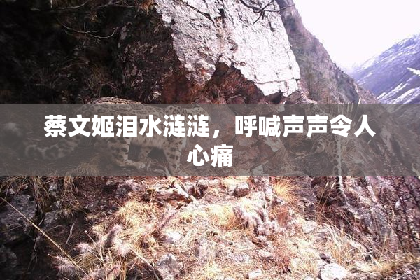 蔡文姬泪水涟涟，呼喊声声令人心痛