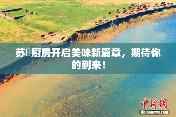 苏玥厨房开启美味新篇章，期待你的到来！