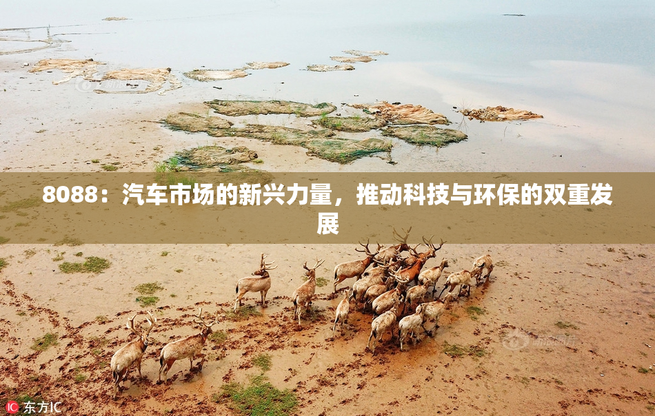 8088：汽车市场的新兴力量，推动科技与环保的双重发展