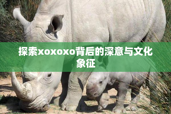 探索xoxoxo背后的深意与文化象征