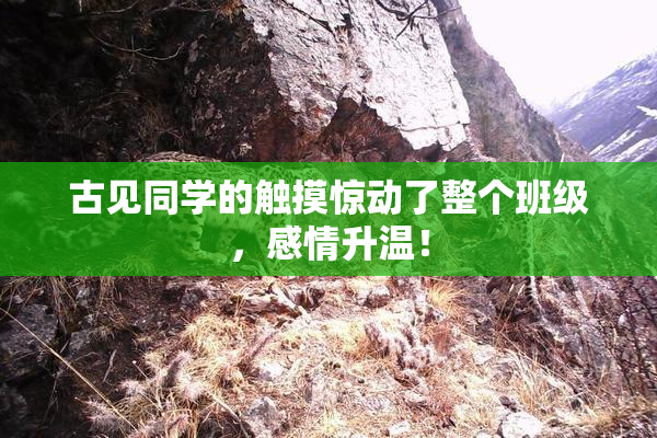 古见同学的触摸惊动了整个班级，感情升温！