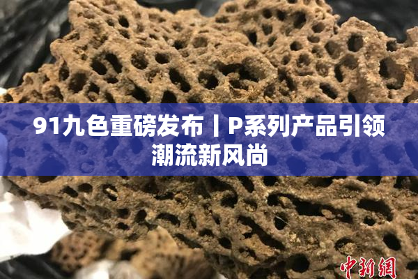 91九色重磅发布丨P系列产品引领潮流新风尚