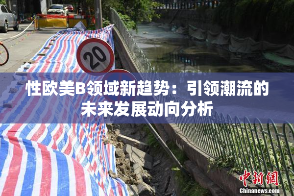 性欧美B领域新趋势：引领潮流的未来发展动向分析