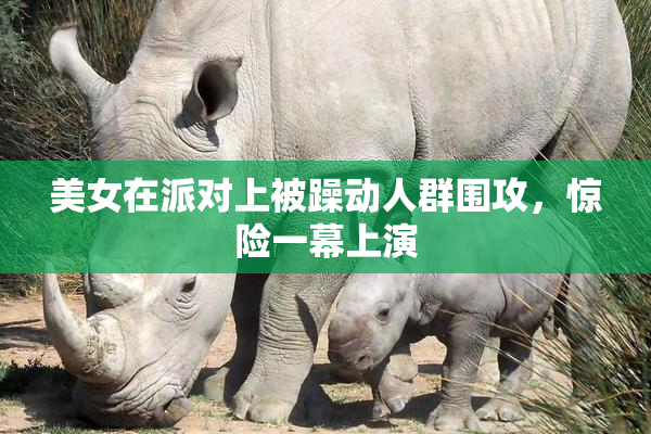 美女在派对上被躁动人群围攻，惊险一幕上演