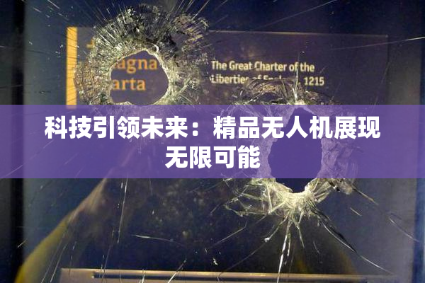 科技引领未来：精品无人机展现无限可能